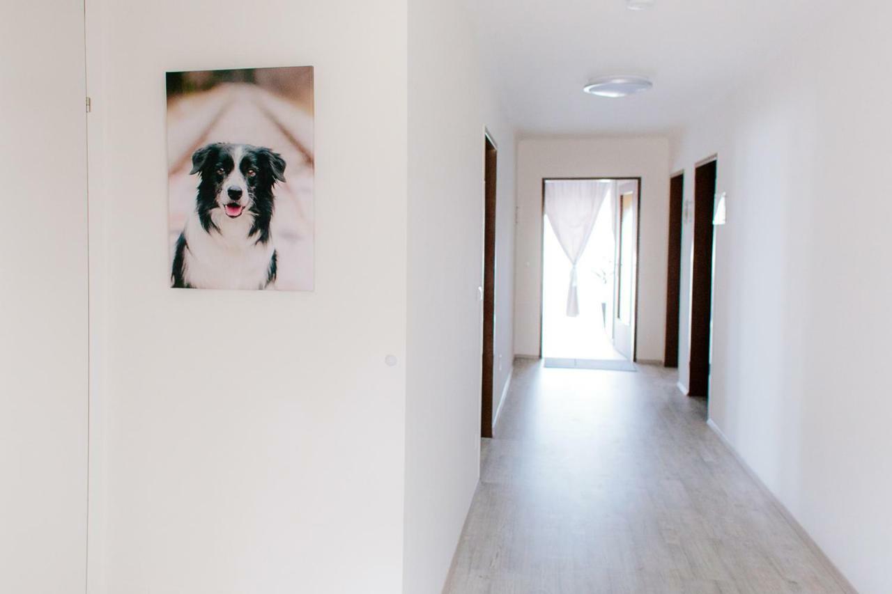 Steira-Studios Ehrenhausen Exteriör bild